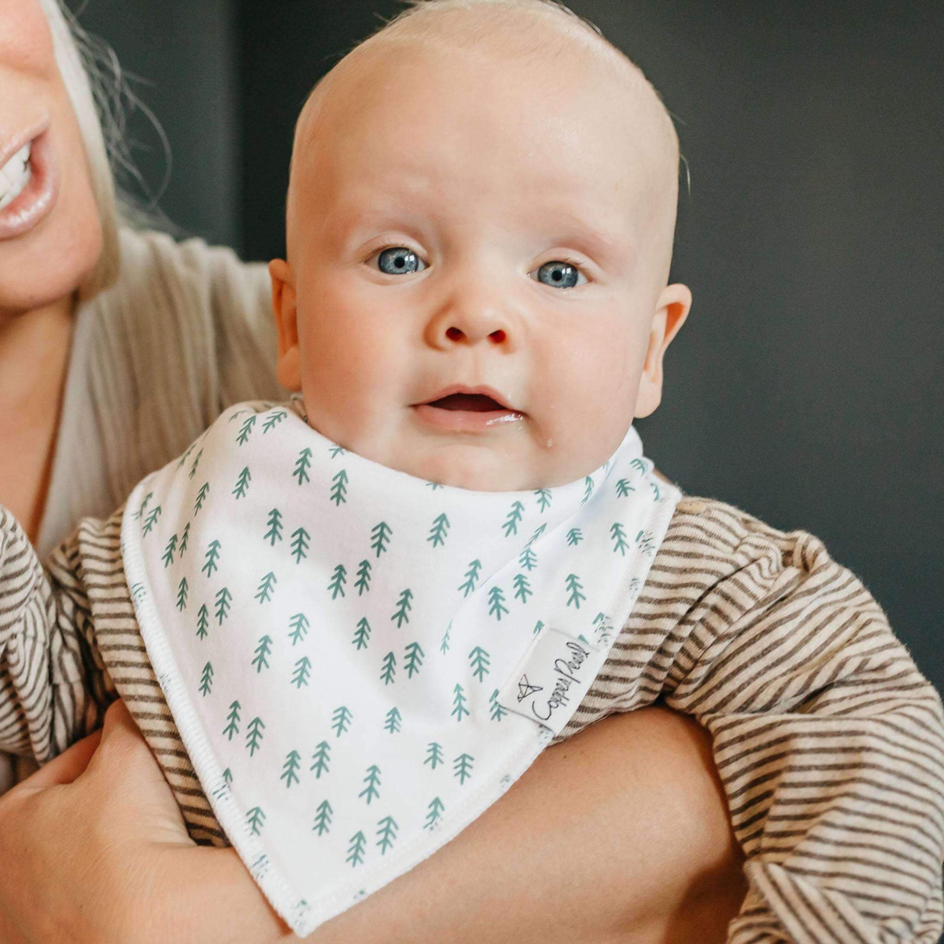 4 Pack Baby Bandana Bibs - Atwood